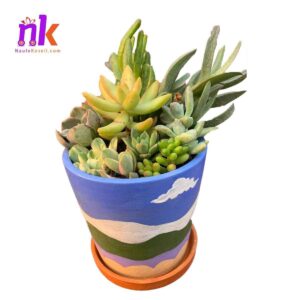 Planter Pot