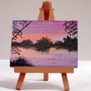 Pink Sky Mini Canvas