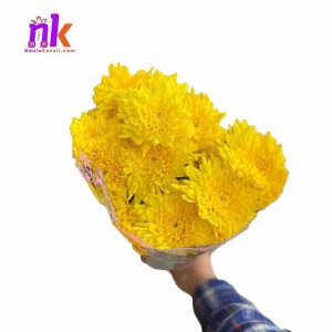 Daisy Bouquet in Nepal