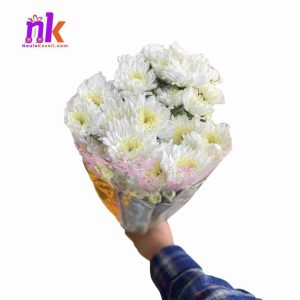 Daisy Flower Bouquet
