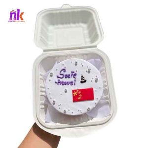 Farewell Bento Cake