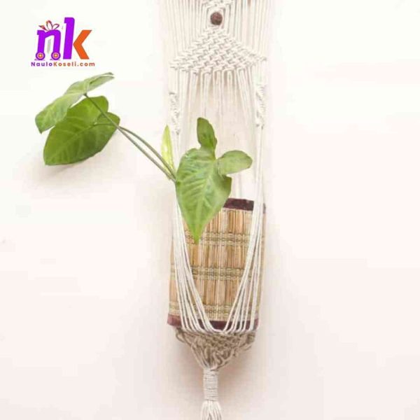 Macrame Oden Plant Hanger